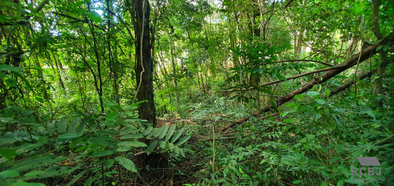 Imagem Terreno à Venda, 1.000 m² em Retiro Do Chalé - Brumadinho