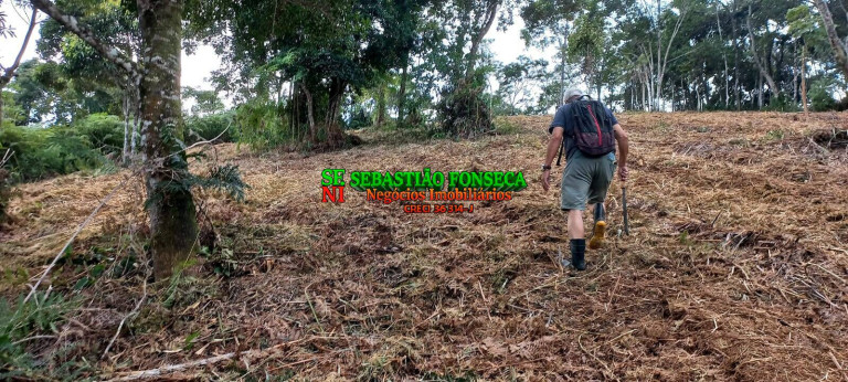 Imagem Chácara à Venda, 30.000 m² em Centro - Monteiro Lobato Imagem Chácara à Venda, 30.000 m² em Centro - Monteiro Lobato