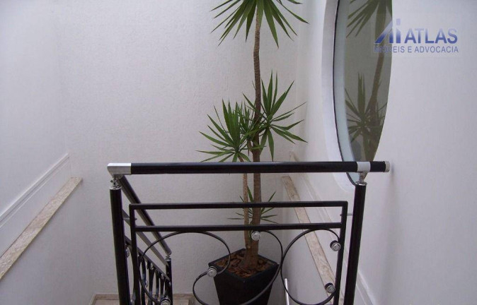 Imagem Sobrado com 3 Quartos à Venda, 326 m² em Jardim Guanca - São Paulo Imagem Sobrado com 3 Quartos à Venda, 326 m² em Jardim Guanca - São Paulo