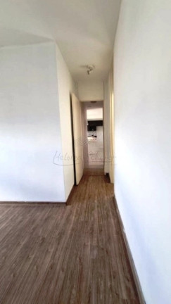 Imagem Apartamento com 3 Quartos à Venda, 67 m² em Tristeza - Porto Alegre