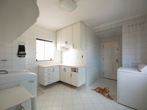 Imagem Apartamento com 3 Quartos à Venda, 178 m² em Vila São Vicente - São Paulo
