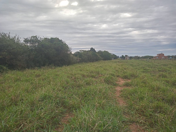 Imagem Chácara com 2 Quartos à Venda, 20.000 m² em águas Claras - Viamão
