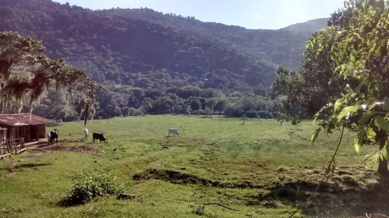 Imagem Chácara à Venda, 4.800 m² em São João Do Rio Vermelho - Florianópolis Imagem Chácara à Venda, 4.800 m² em São João Do Rio Vermelho - Florianópolis