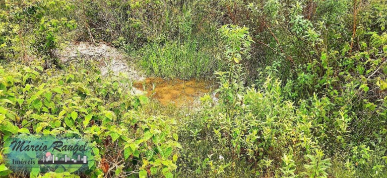Imagem Imóvel à Venda, 31.000 m² em Caxeta - Campos Dos Goytacazes Imagem Imóvel à Venda, 31.000 m² em Caxeta - Campos Dos Goytacazes
