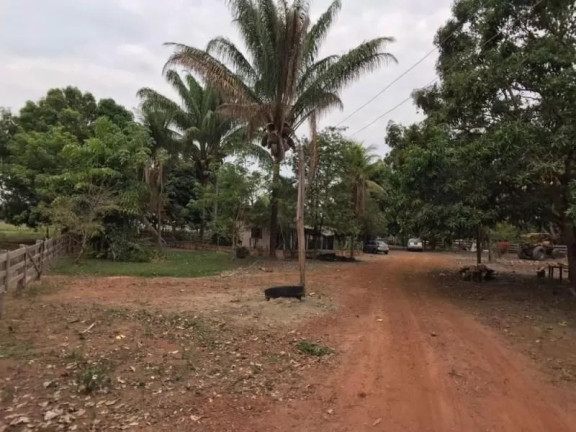 Imagem Fazenda à Venda, 1 m² em Zona Rural - Sinop Imagem Fazenda à Venda, 1 m² em Zona Rural - Sinop
