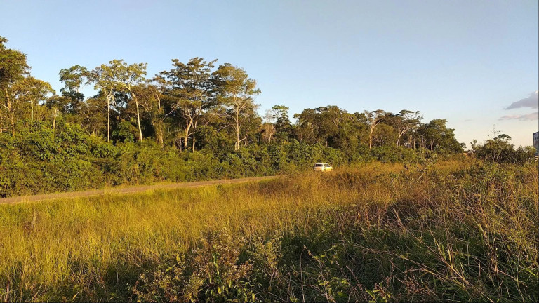 Imagem Fazenda à Venda, 72.600 m² em Zona Rural - Sinop Imagem Fazenda à Venda, 72.600 m² em Zona Rural - Sinop