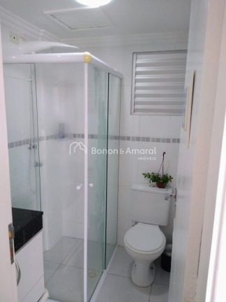 Imagem Apartamento com 3 Quartos à Venda, 60 m² em Jardim Nova Europa - Campinas Imagem Apartamento com 3 Quartos à Venda, 60 m² em Jardim Nova Europa - Campinas