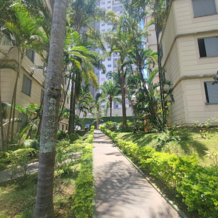 Imagem Imóvel com 3 Quartos à Venda, 61 m² em Jardim Santa Emília - São Paulo