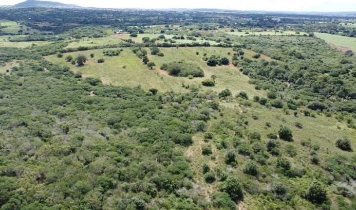 Imagem Fazenda à Venda, 310.000 m² em Br 116 - Euclides Da Cunha Imagem Fazenda à Venda, 310.000 m² em Br 116 - Euclides Da Cunha