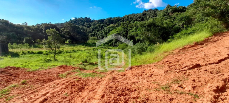 Imagem Imóvel com 1 Quarto à Venda, 44.000 m² em Roseira - Bandeira Do Sul