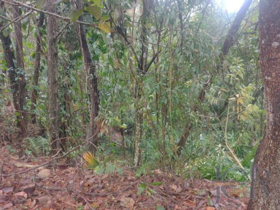 Terreno em Condomínio à Venda, 600 m² em Colinas De São Fernando - Cotia