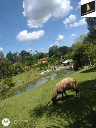 Imagem Imóvel com 6 Quartos à Venda, 300 m² em Areia Branca Dos Assis - Mandirituba