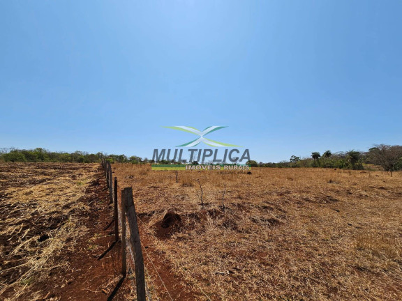 Imagem Chácara à Venda, 54.000 m² em área Rural - Uberlândia Imagem Chácara à Venda, 54.000 m² em área Rural - Uberlândia