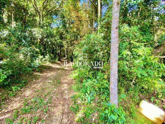 Imagem Imóvel com 2 Quartos à Venda, 12.000 m² em Centro - Munhoz Imagem Imóvel com 2 Quartos à Venda, 12.000 m² em Centro - Munhoz