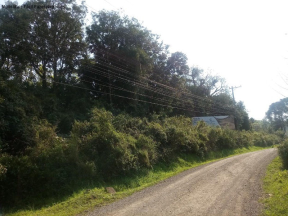 Terreno à Venda, 5.863 m² em Morro Korb - Nova Petrópolis