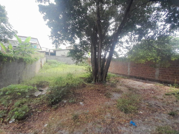 Imagem Terreno à Venda, 12 m² em Praia Da Pipa - Tibau Do Sul Imagem Terreno à Venda, 12 m² em Praia Da Pipa - Tibau Do Sul