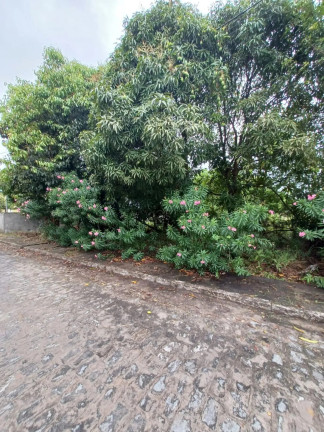Imagem Terreno à Venda, 1.000 m² em Ipojuca - Ipojuca