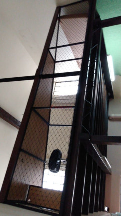 Imagem Casa com 2 Quartos à Venda, 200 m² em Centro - Santa Maria