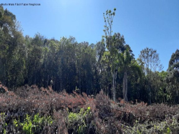 Imagem Terreno à Venda, 675 m² em Piá - Nova Petrópolis Imagem Terreno à Venda, 675 m² em Piá - Nova Petrópolis