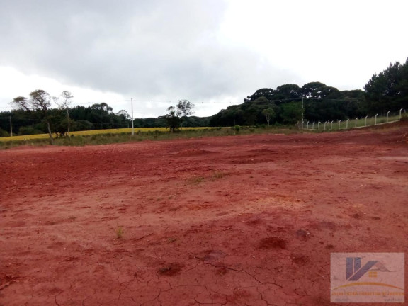 Imagem Terreno à Venda, 4.411 m² em Campo Largo Da Roseira - São José Dos Pinhais Imagem Terreno à Venda, 4.411 m² em Campo Largo Da Roseira - São José Dos Pinhais