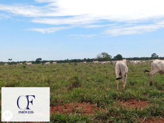 Imagem Fazenda à Venda, 3.097 m² em Rural - Chapadão Do Sul Imagem Fazenda à Venda, 3.097 m² em Rural - Chapadão Do Sul