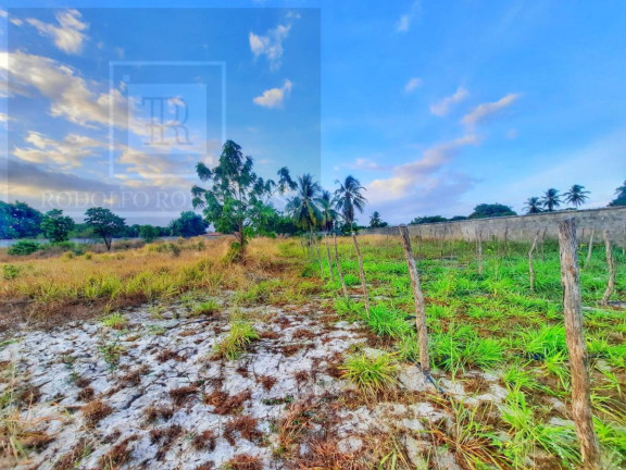 Chácara com 3 Quartos à Venda, 11.800 m²