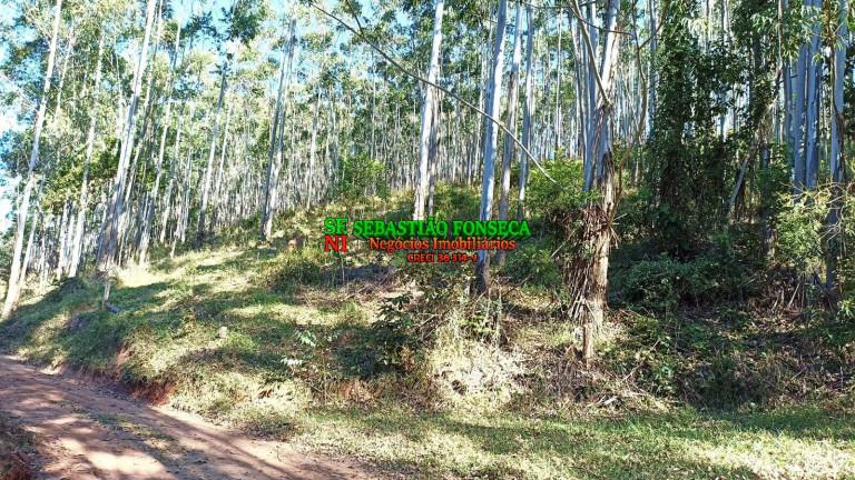 Imagem Chácara à Venda, 2 m² em Centro - Paraibuna Imagem Chácara à Venda, 2 m² em Centro - Paraibuna
