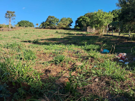 Imagem Fazenda à Venda, 1.500 m² em Parque Santa Julieta - Santa Cruz Da Conceição Imagem Fazenda à Venda, 1.500 m² em Parque Santa Julieta - Santa Cruz Da Conceição