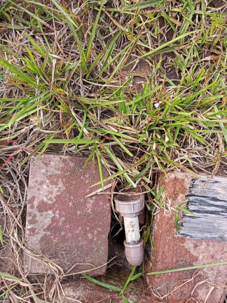 Imagem Chácara com 2 Quartos à Venda, 7.500 m² em Morro Grande - Viamão