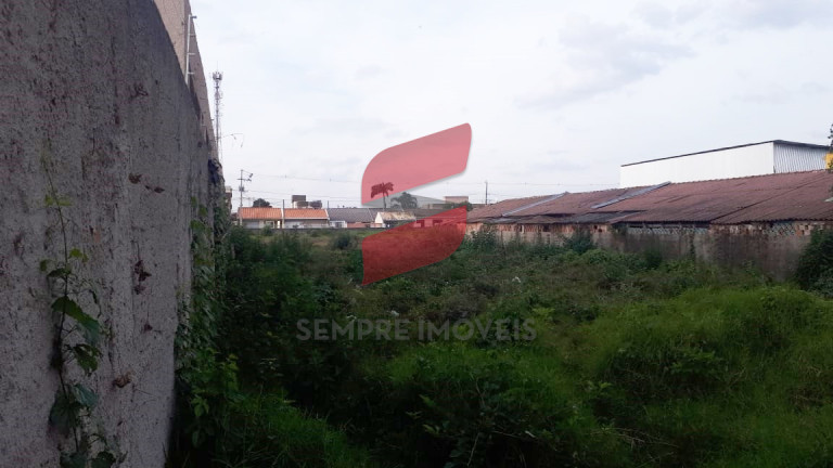 Imagem Terreno à Venda, 3.000 m² em Independência - São José Dos Pinhais Imagem Terreno à Venda, 3.000 m² em Independência - São José Dos Pinhais