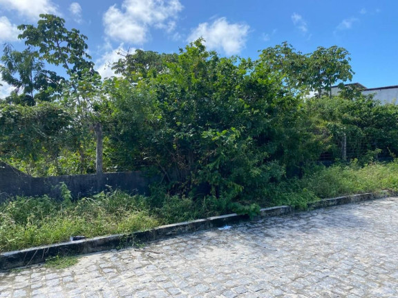 Imagem Terreno à Venda, 800 m² em Centro - Barra Dos Coqueiros Imagem Terreno à Venda, 800 m² em Centro - Barra Dos Coqueiros