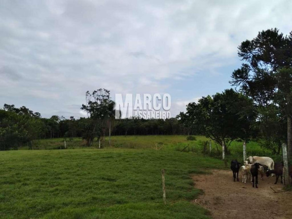 Imagem Chácara à Venda, 16 m² em Volta Redonda - Araquari
