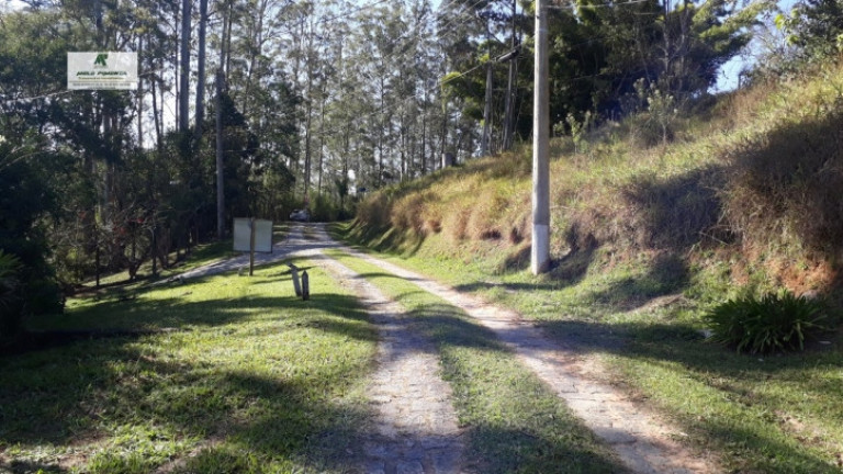 Imagem Terreno à Venda, 1.400 m² em Caete (mailasqui) - São Roque Imagem Terreno à Venda, 1.400 m² em Caete (mailasqui) - São Roque