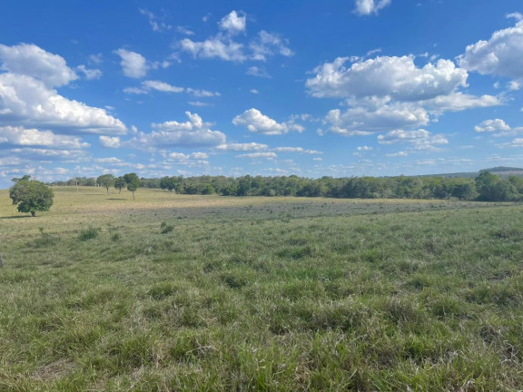 Imagem Fazenda à Venda, 70 m² em Itatinga - Itatinga