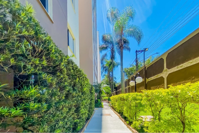 Imagem Apartamento com 3 Quartos à Venda, 55 m² em Jardim Santa Terezinha (zona Leste) - São Paulo
