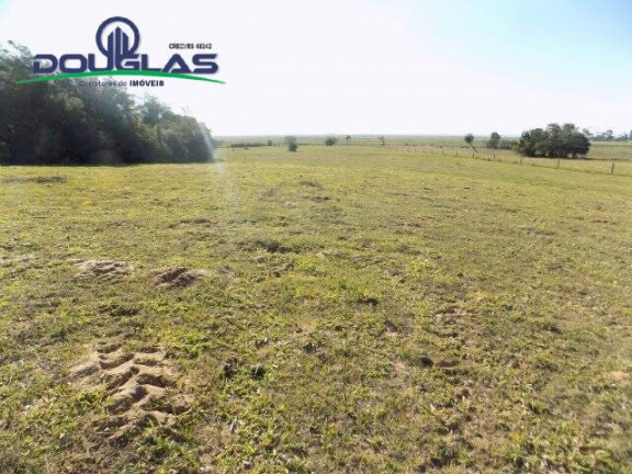 Imagem Chácara à Venda, 8 m² em águas Claras - Viamão Imagem Chácara à Venda, 8 m² em águas Claras - Viamão