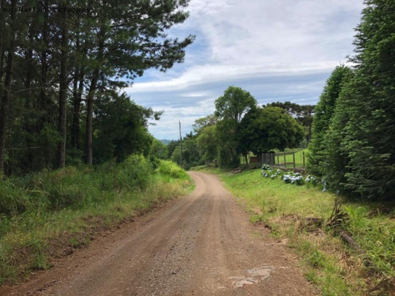 Imagem Terreno à Venda, 5 m² em Nove Colônias - Nova Petrópolis