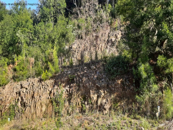 Terreno à Venda, 387 m² em Bavária - Nova Petrópolis