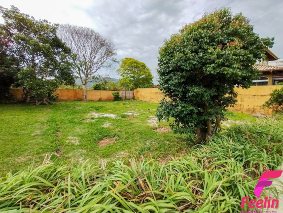 Terreno à Venda, 465 m² em Campeche - Florianópolis