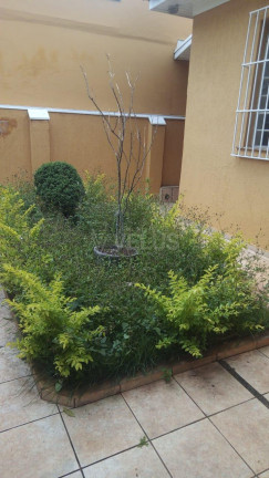 Imagem Casa com 2 Quartos à Venda, 255 m² em Centro - Itapetininga Imagem Casa com 2 Quartos à Venda, 255 m² em Centro - Itapetininga