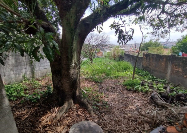 Terreno à Venda, 446 m² em Vila Nhocune - São Paulo