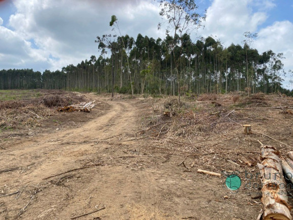 Imagem Imóvel à Venda, 1.600.000 m² em Zona Rural - Vidal Ramos Imagem Imóvel à Venda, 1.600.000 m² em Zona Rural - Vidal Ramos