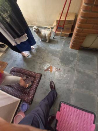 Imagem Sobrado com 3 Quartos à Venda, 153 m² em Penha De França - São Paulo