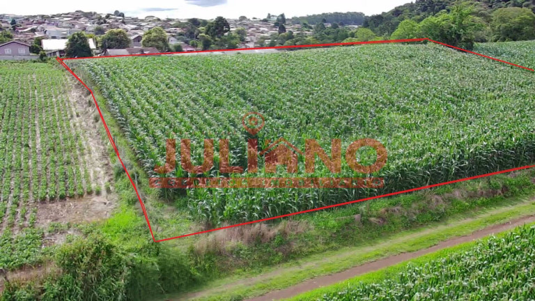 Imagem Terreno à Venda, 5.025 m² em Centenario - São Bento Do Sul