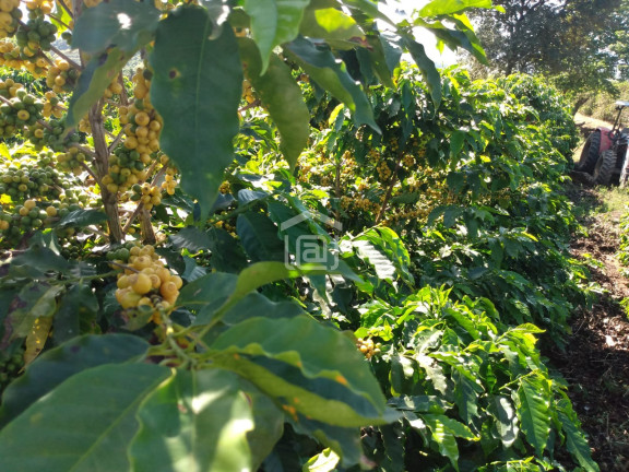 Imagem Imóvel à Venda, 1 m² em Souza Lima - Poços De Caldas