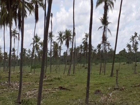 Imagem Fazenda à Venda, 550.000 m² em Mangue Seco - Jandaíra Imagem Fazenda à Venda, 550.000 m² em Mangue Seco - Jandaíra