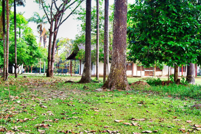 Imagem Terreno à Venda, 48 m² em Flores - Manaus Imagem Terreno à Venda, 48 m² em Flores - Manaus