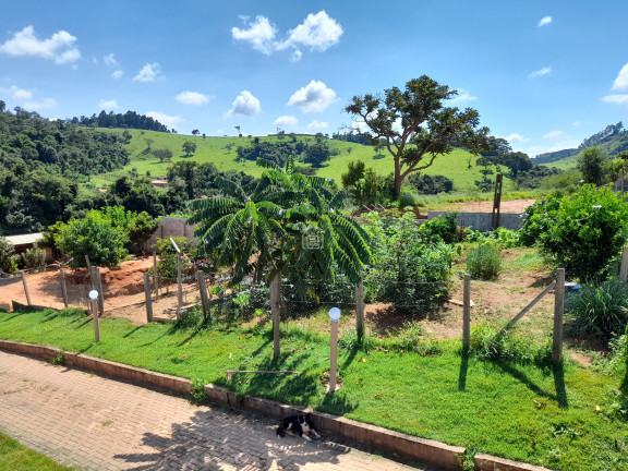 Imagem Imóvel com 6 Quartos à Venda, 2.800 m² em Marambaia (rural) - Bandeira Do Sul
