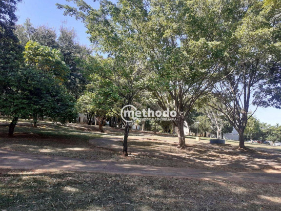 Imagem Apartamento com 2 Quartos à Venda, 62 m² em Conjunto Residencial Parque Bandeirantes - Campinas Imagem Apartamento com 2 Quartos à Venda, 62 m² em Conjunto Residencial Parque Bandeirantes - Campinas