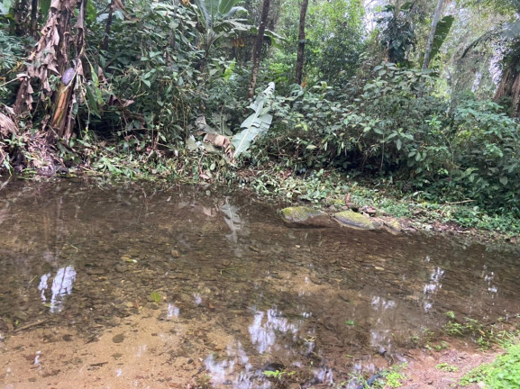 Imagem Imóvel Comercial à Venda, 45 m² em Figueira (pé Da Serra) - Ubatuba Imagem Imóvel Comercial à Venda, 45 m² em Figueira (pé Da Serra) - Ubatuba